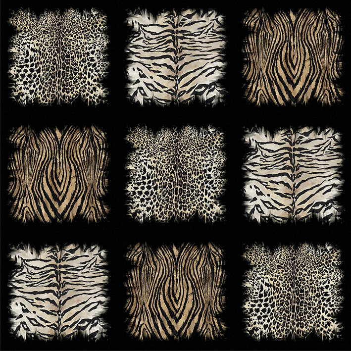 Emiliana Parati Roberto Cavalli №8 19106