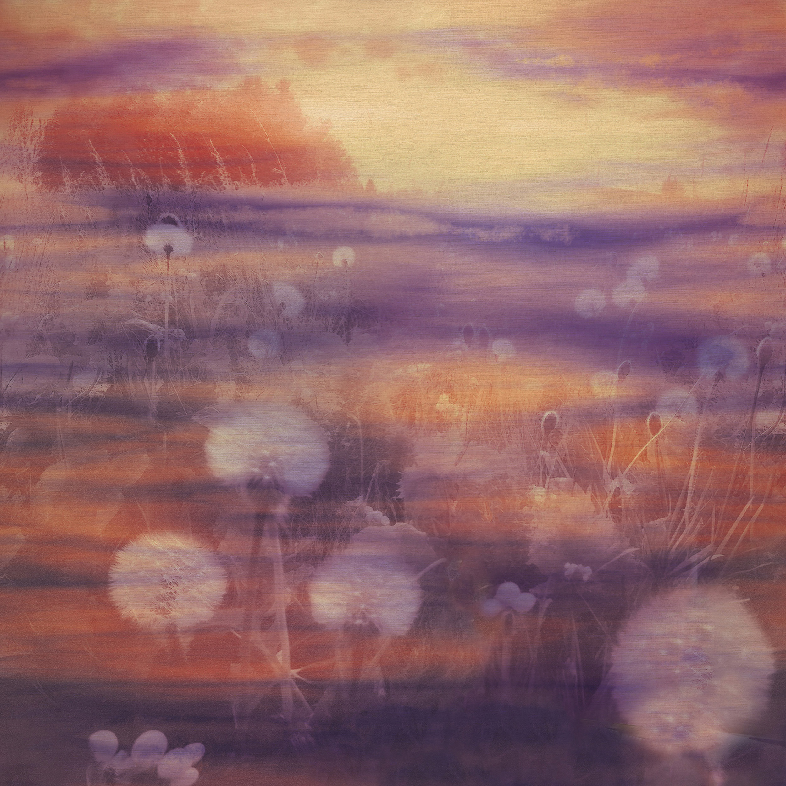 Emiliana Parati Тенденции 73898