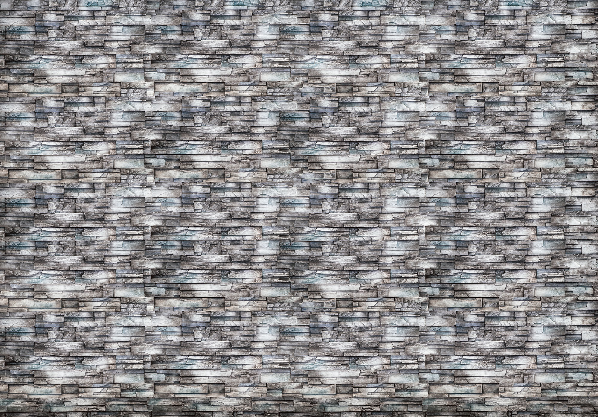 Partner Соло 10184V8