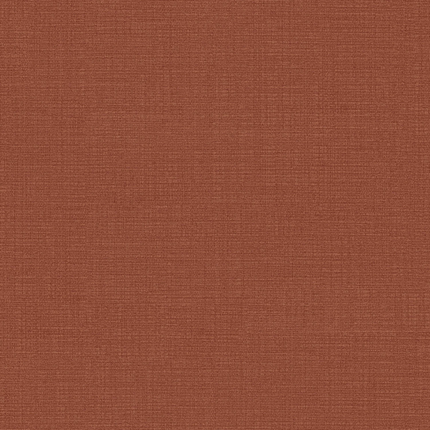 Emiliana Parati Тенденции 73860