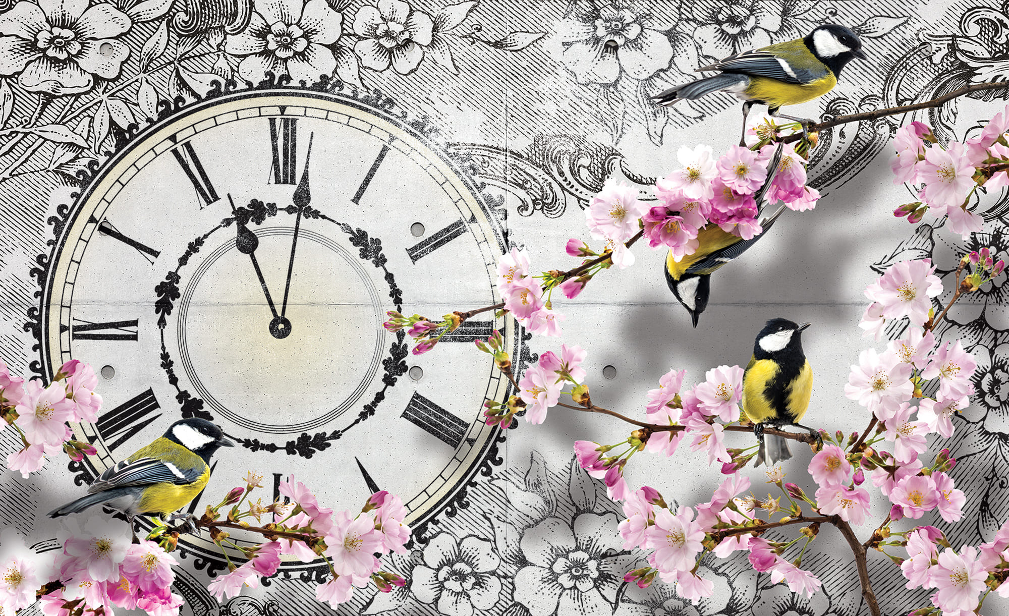 Partner Соло 1793V8