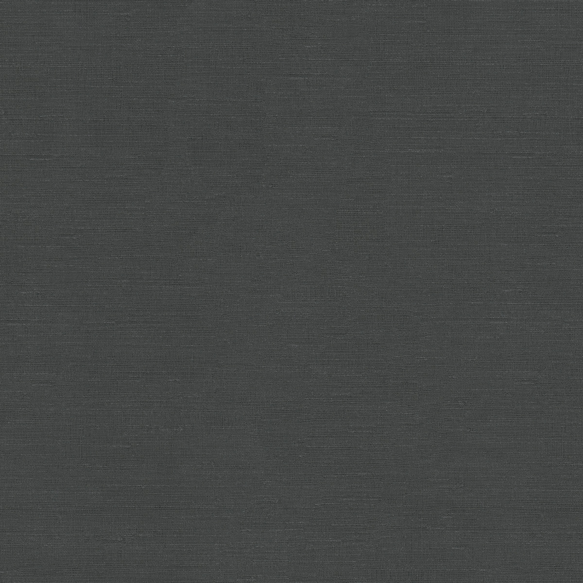 Emiliana Parati Путешествие 73748