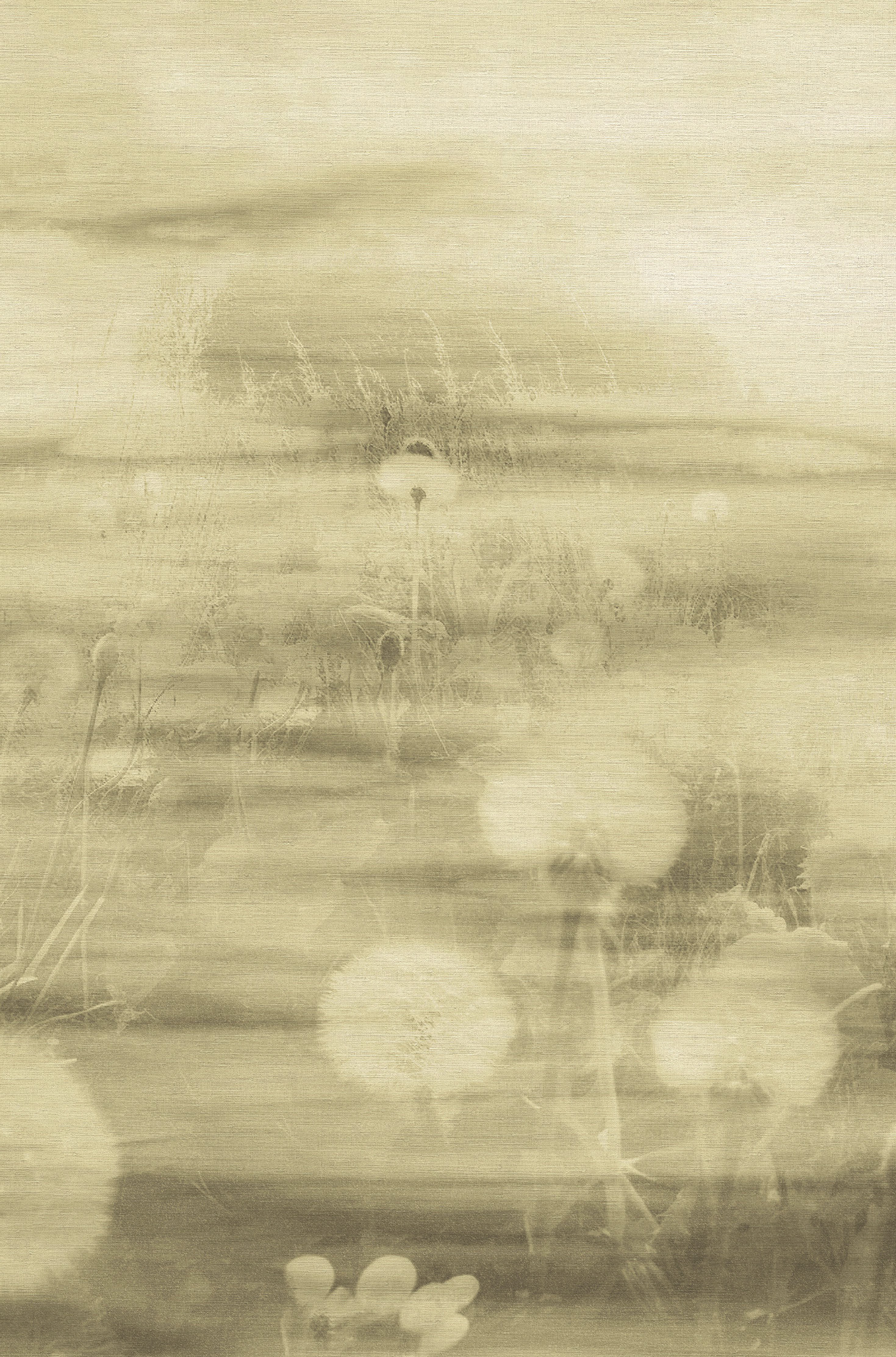 Emiliana Parati Тенденции 73899