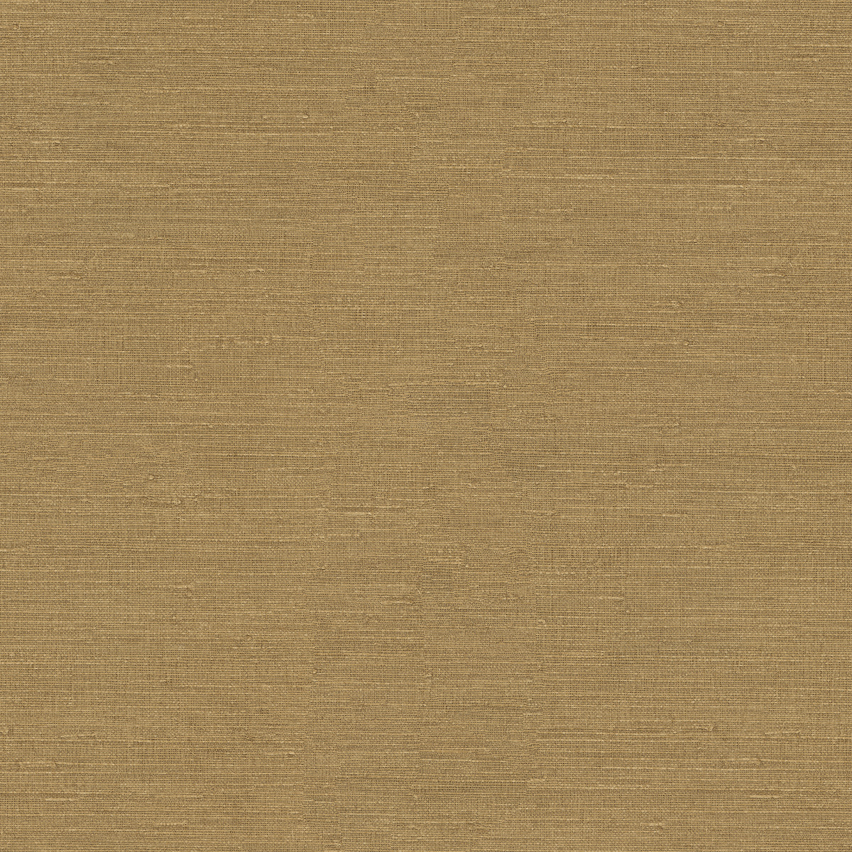 Emiliana Parati Путешествие 73743