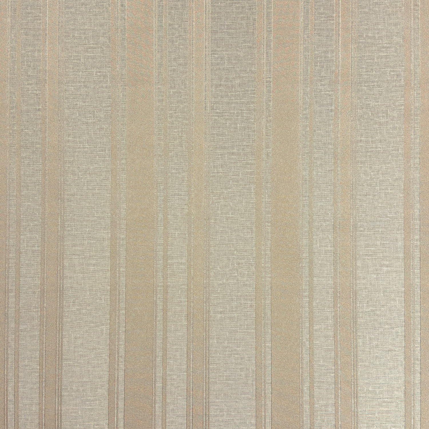 Monica История 2 MS11201