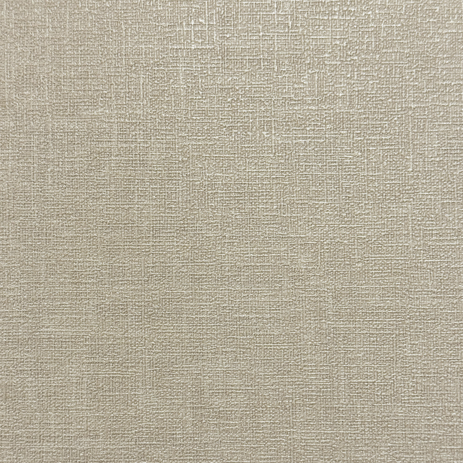 Monica История 2 MS11610