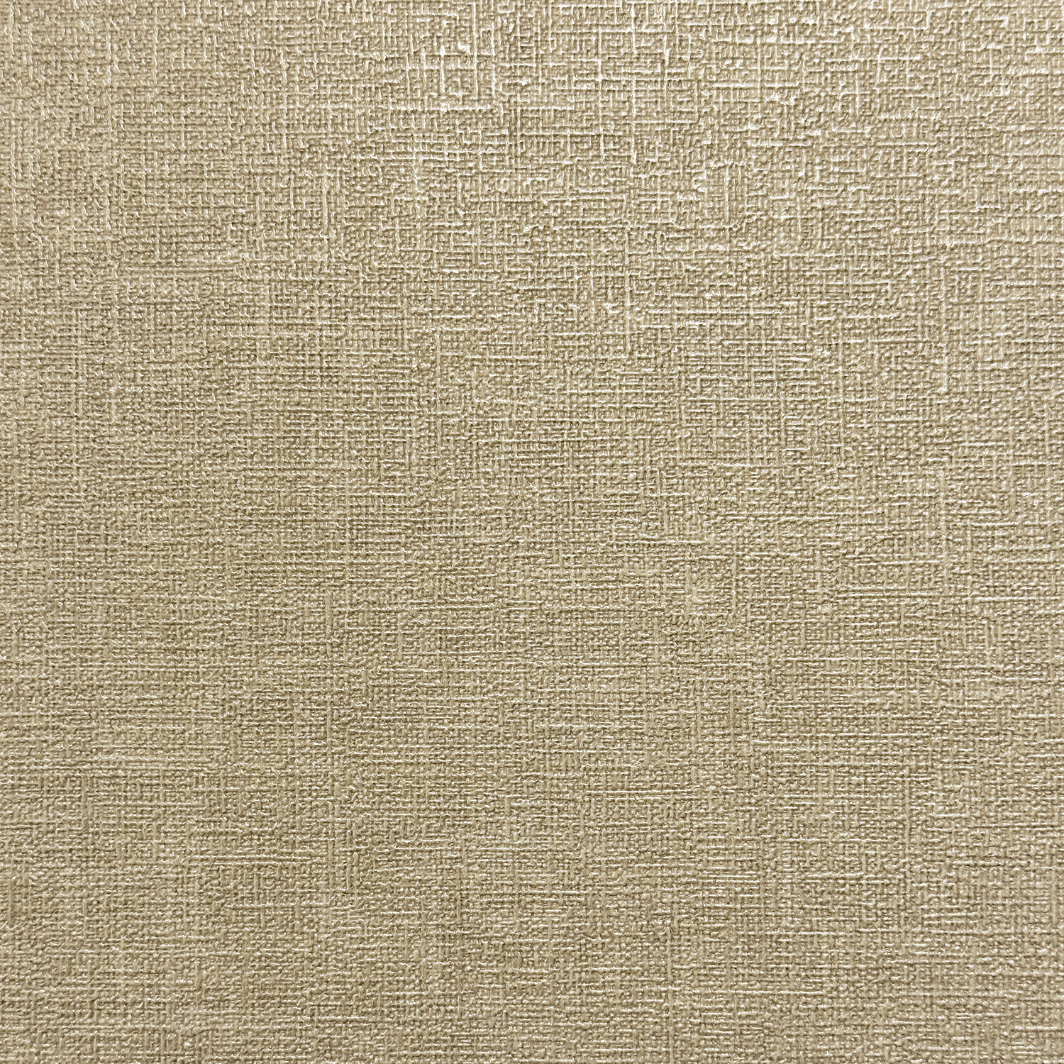 Monica История 2 MS11614