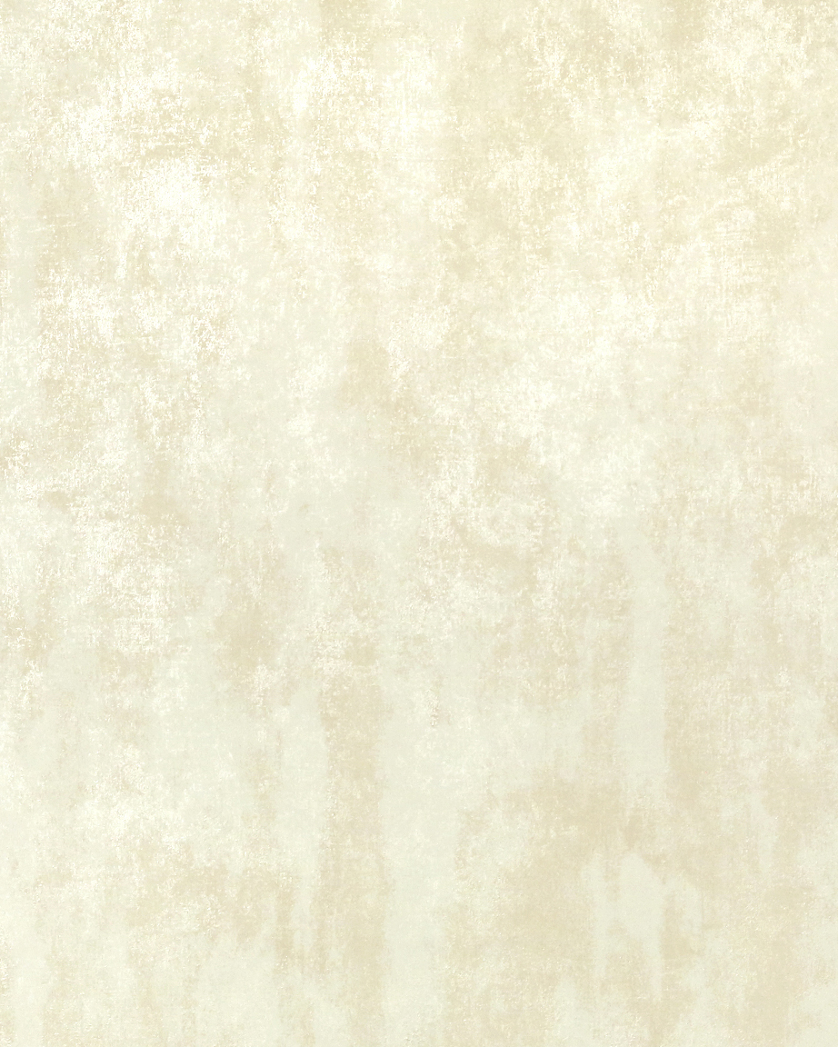 Zendi Лианна Лидс N55673