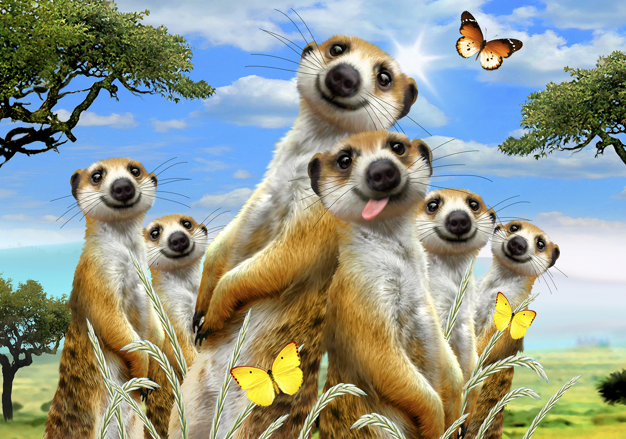 Partner Селфи-Соло 12868V8