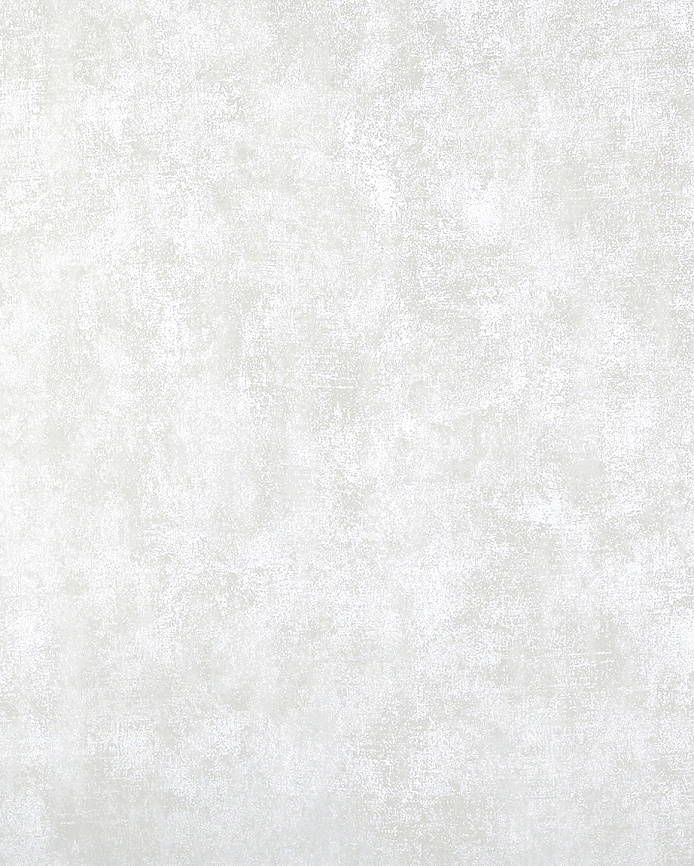 Zendi Лианна Лидс N55672