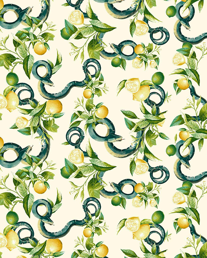 Emiliana Parati Roberto Cavalli №9 21105