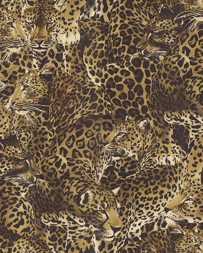 Emiliana Parati Dolce&Gabbana №1 30004DG