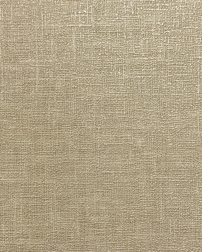 Monica История 2 MS11614