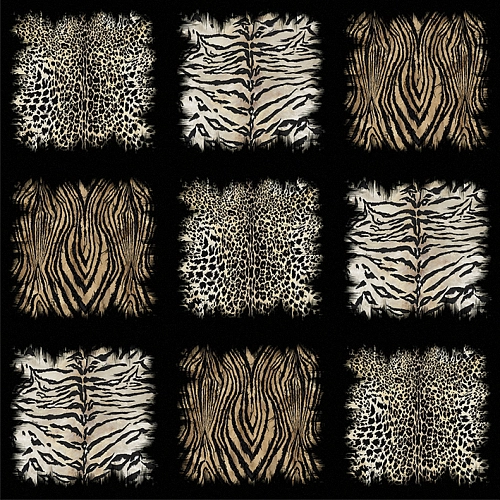 Emiliana Parati Roberto Cavalli №8 19106