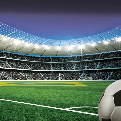 Partner Соло 1915P4