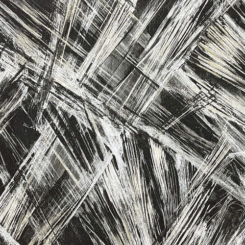 Monica История MS10101