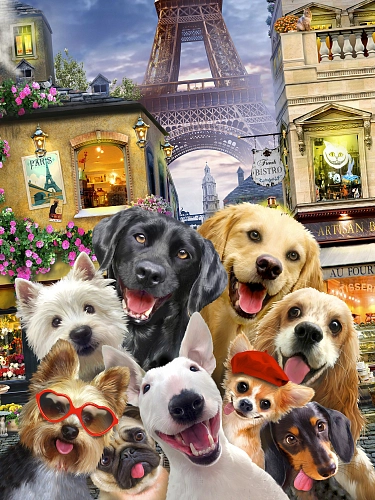 Partner Селфи-Соло 12859VEA