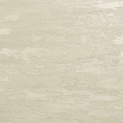 Monica История MS10505