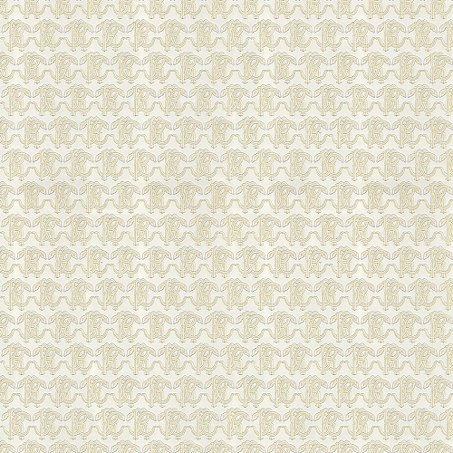 Emiliana Parati Roberto Cavalli №9 21033