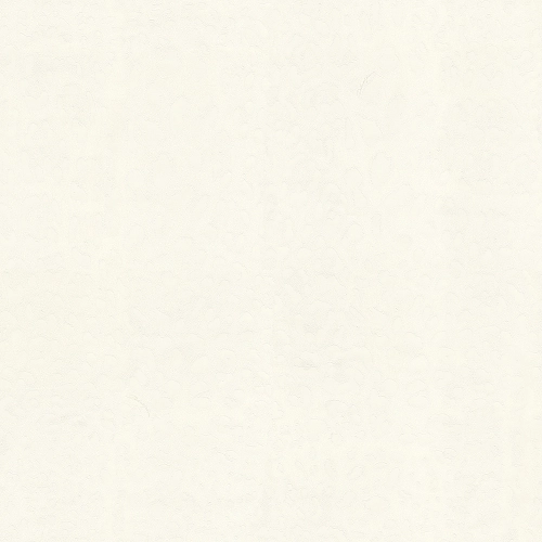 Emiliana Parati Dolce&Gabbana №1 30002DG