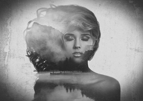 Partner Соло 13288V8