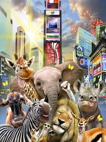 Partner Селфи-Соло 12860VEA