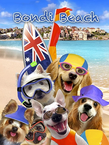 Partner Селфи-Соло 12853VEA