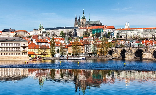 Partner Соло 3249P8